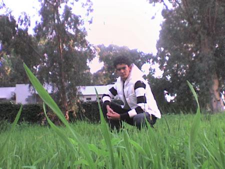 abdo