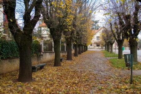 ifrane